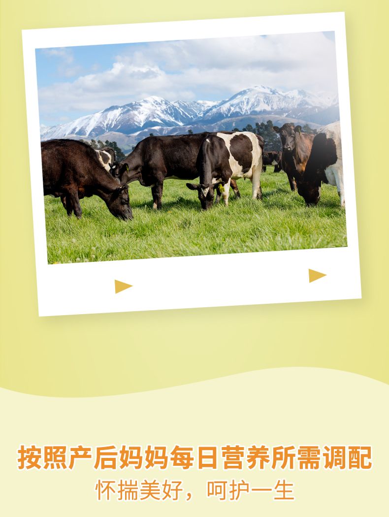 曼可伊產(chǎn)后罐裝-790_09.jpg
